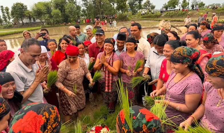 "Cumnata a Insistat Să Am Grijă de Copiii Ei: Când Am Refuzat, M-a Umilit în Fața Tuturor"