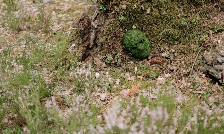 "Nu Voi Planta Prea Mult. Știu Că Nu Mă Vei Părăsi. Conștiința Ta Nu Te Va Lăsa Să Fii Leneș"